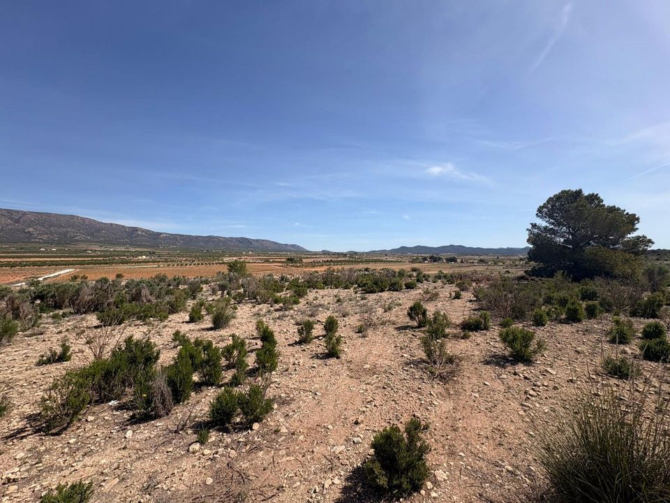 Helårsgrund i Pinoso, Alicante - foto 1