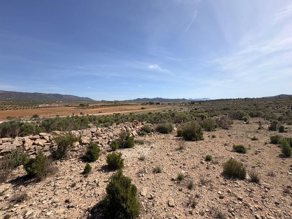 Helårsgrund i Pinoso, Alicante - foto 3