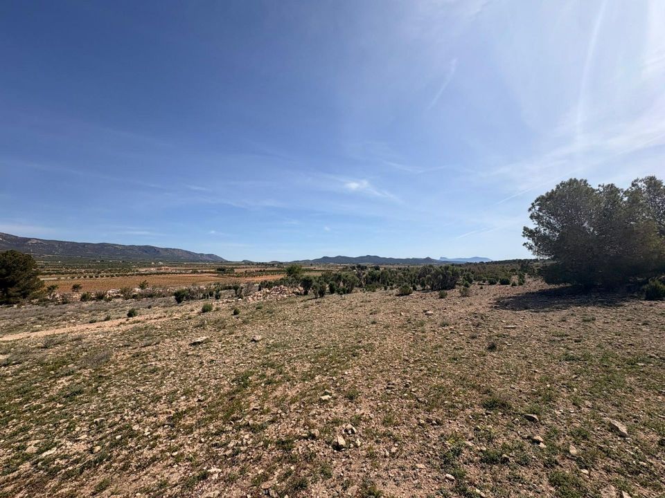 Helårsgrund i Pinoso, Alicante - foto 5