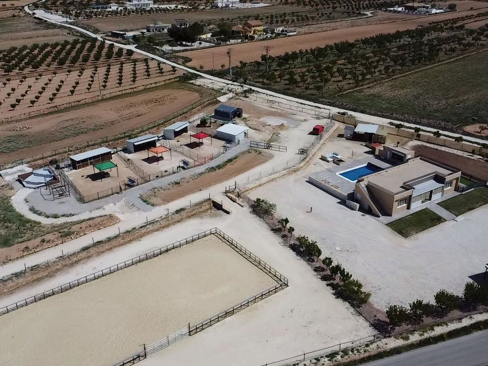 Villa i Pinoso, Alicante - foto 3
