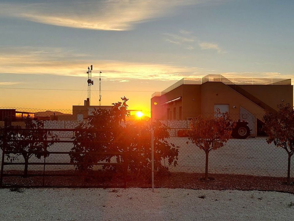 Villa i Pinoso, Alicante - foto 5