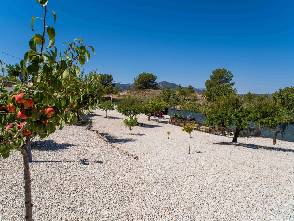 Villa i Monovar, Alicante - foto 5