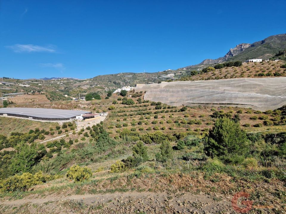 Helårsgrund i Itrabo, Granada - foto 2