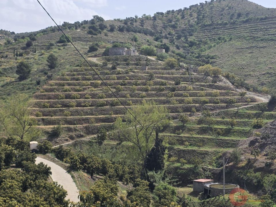 Helårsgrund i Itrabo, Granada - foto 3