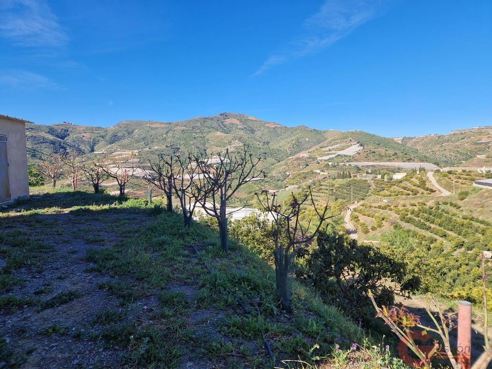 Helårsgrund i Itrabo, Granada - foto 4