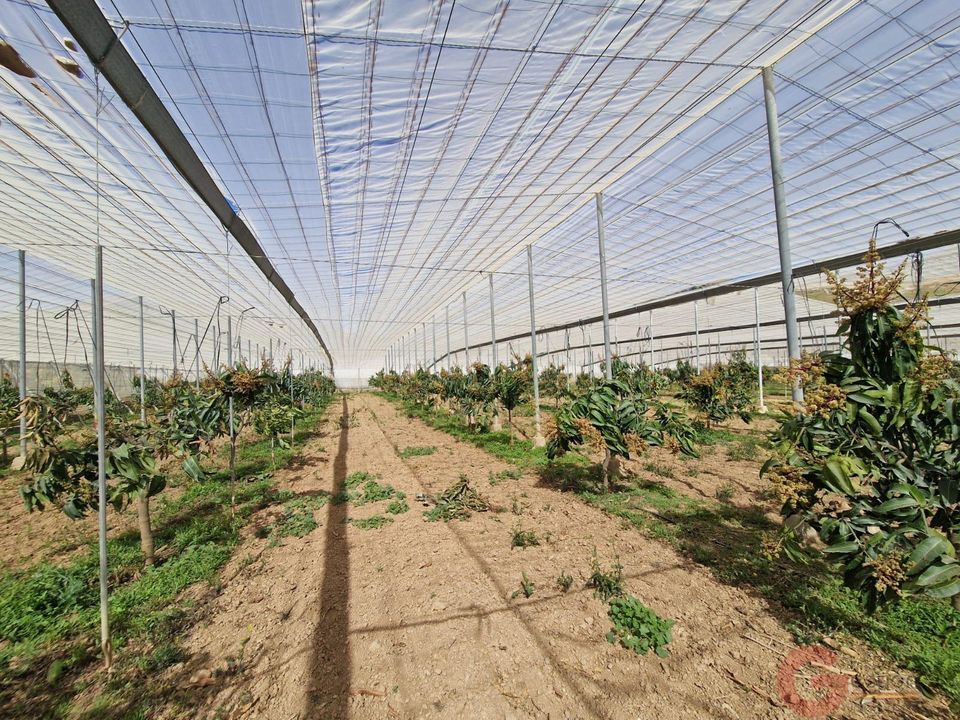 Finca i Molvizar, Granada - foto 1