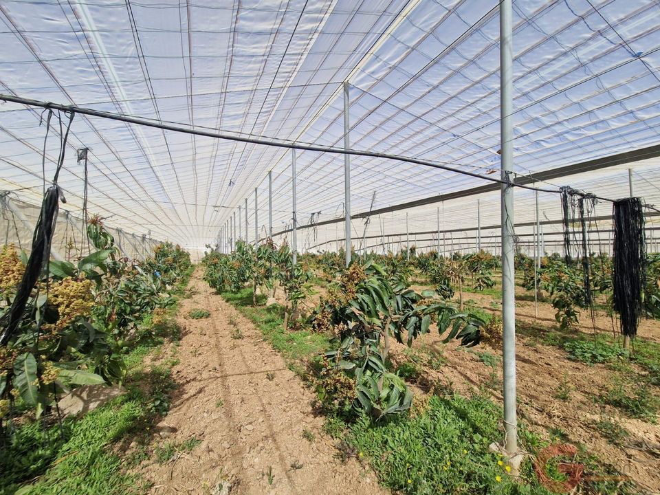 Finca i Molvizar, Granada - foto 2