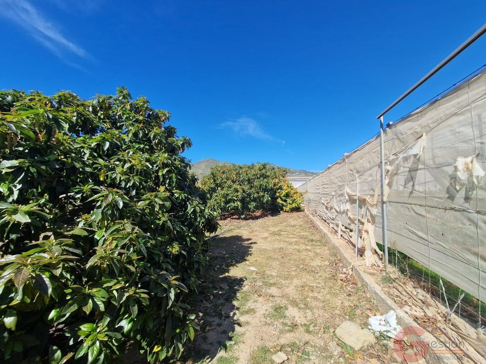 Finca i Molvizar, Granada - foto 4