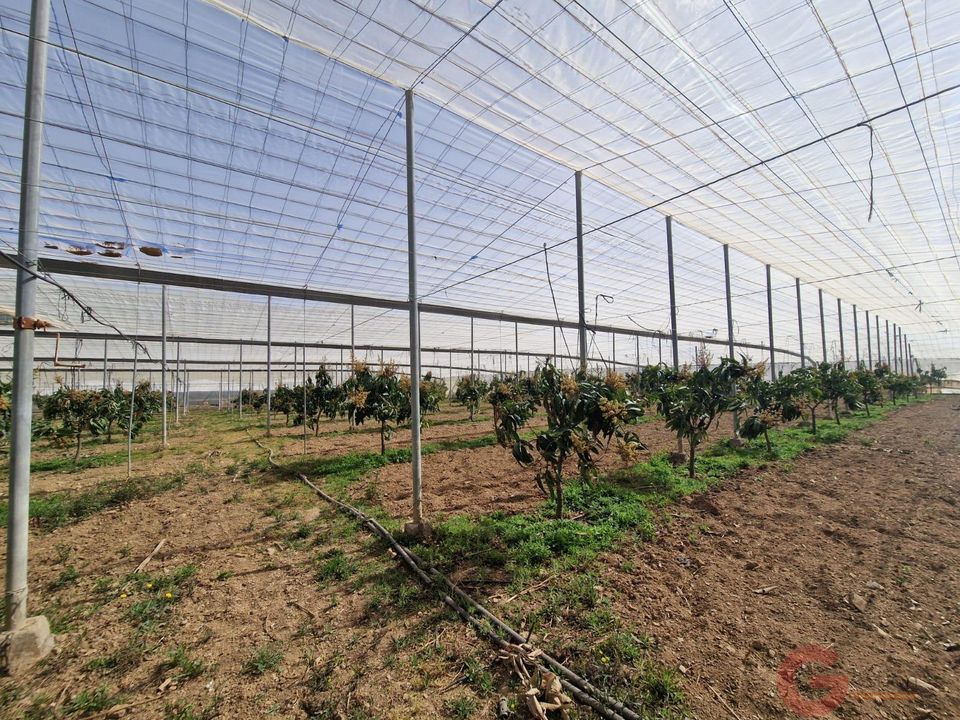 Finca i Molvizar, Granada - foto 5