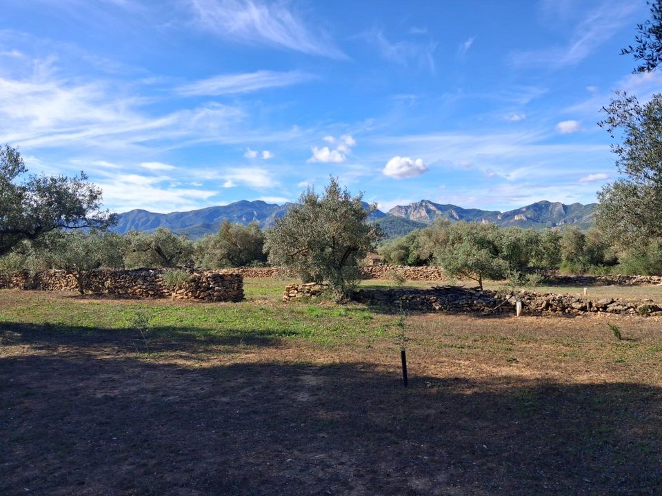 Terreno en Rasquera, Tarragona - foto 1