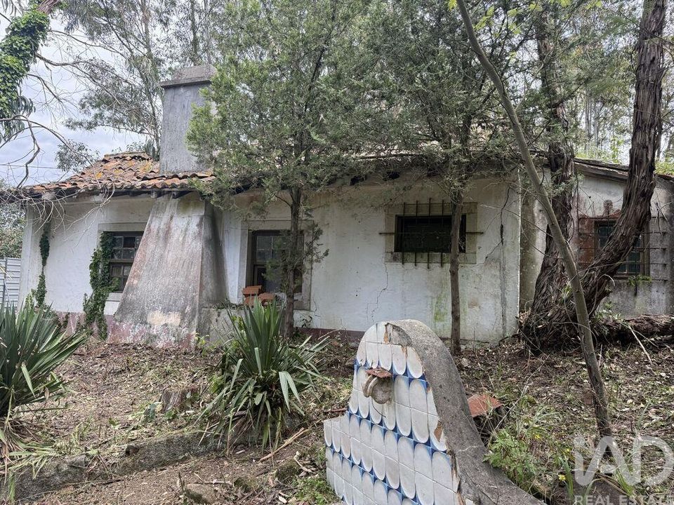 Helårsgrund i Sesimbra, Setubal - foto 4