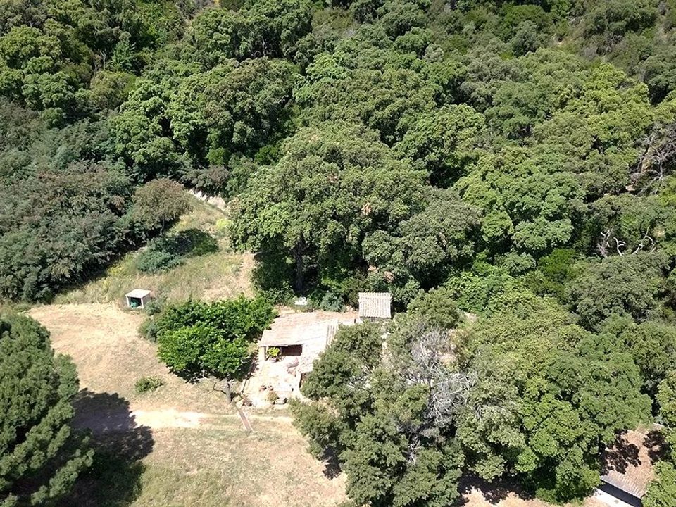 Villa i Cavalaire-sur-Mer, Var - foto 5