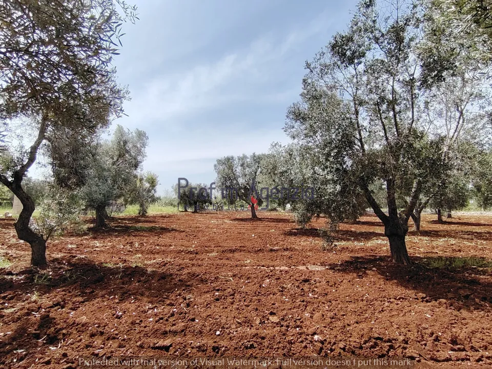 Helårsgrund i Carovigno, Brindisi - foto 1