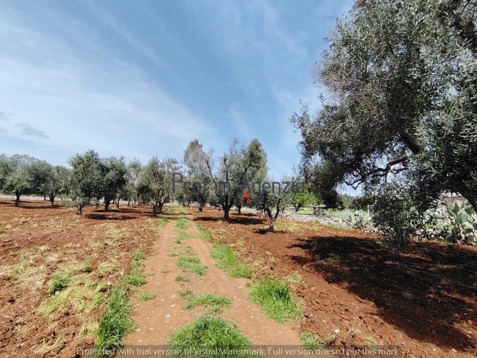 Helårsgrund i Carovigno, Brindisi - foto 5