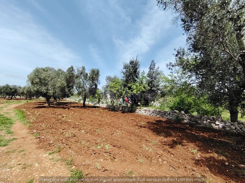 Helårsgrund i Carovigno, Brindisi - foto 4