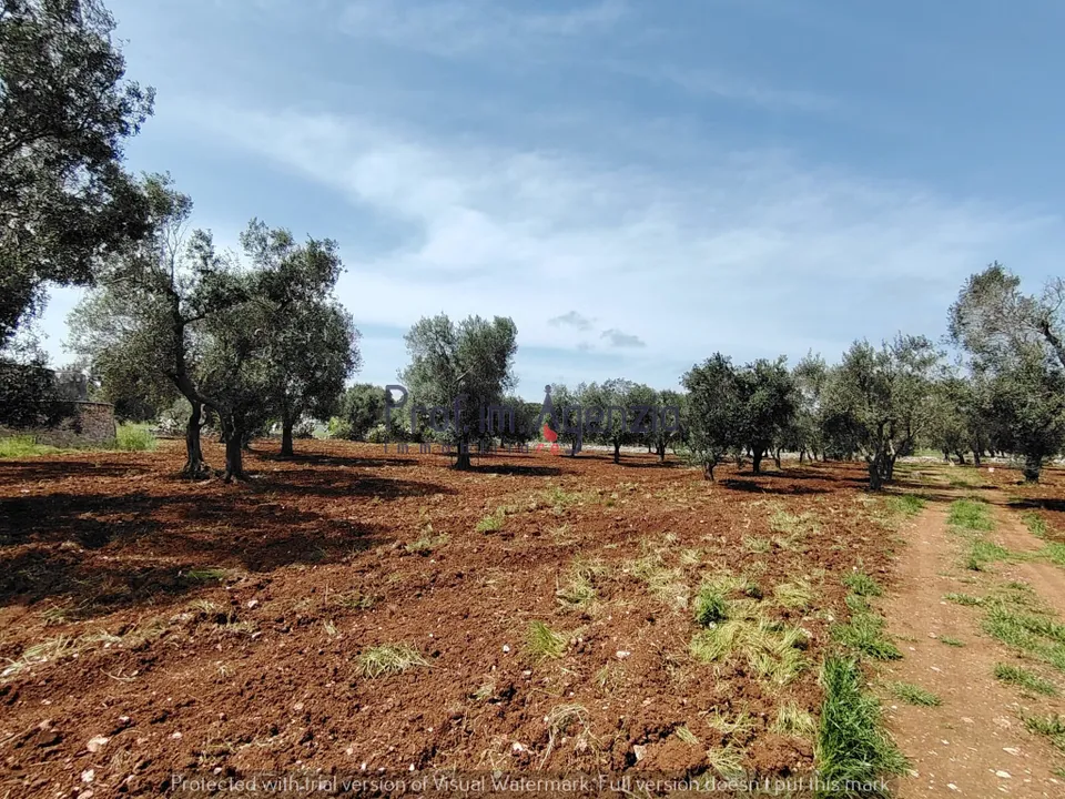 Helårsgrund i Carovigno, Brindisi - foto 2