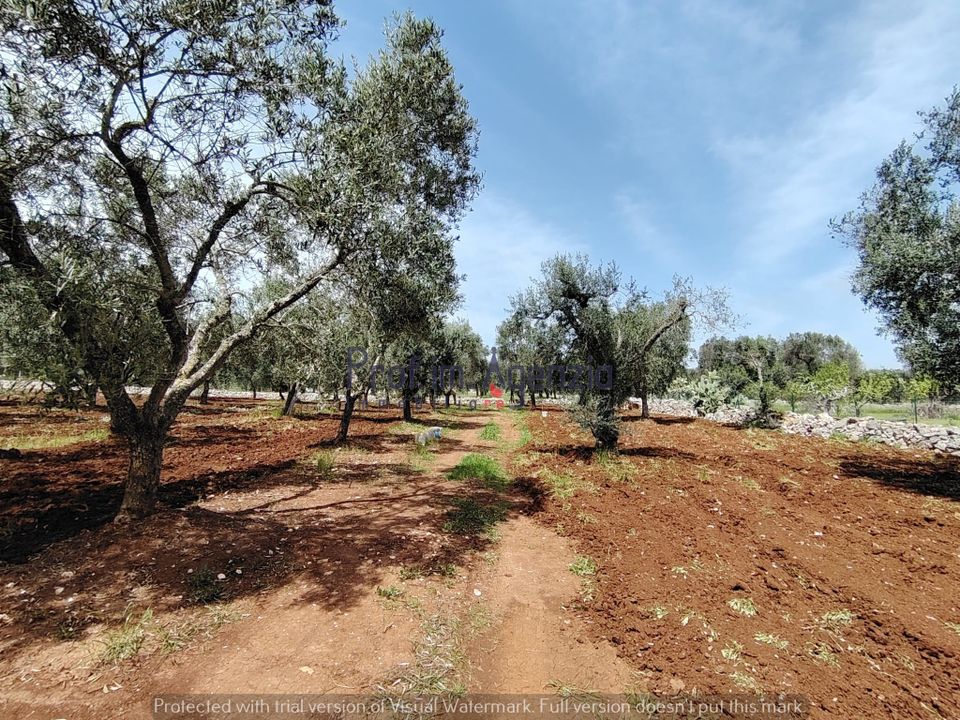 Helårsgrund i Carovigno, Brindisi - foto 3