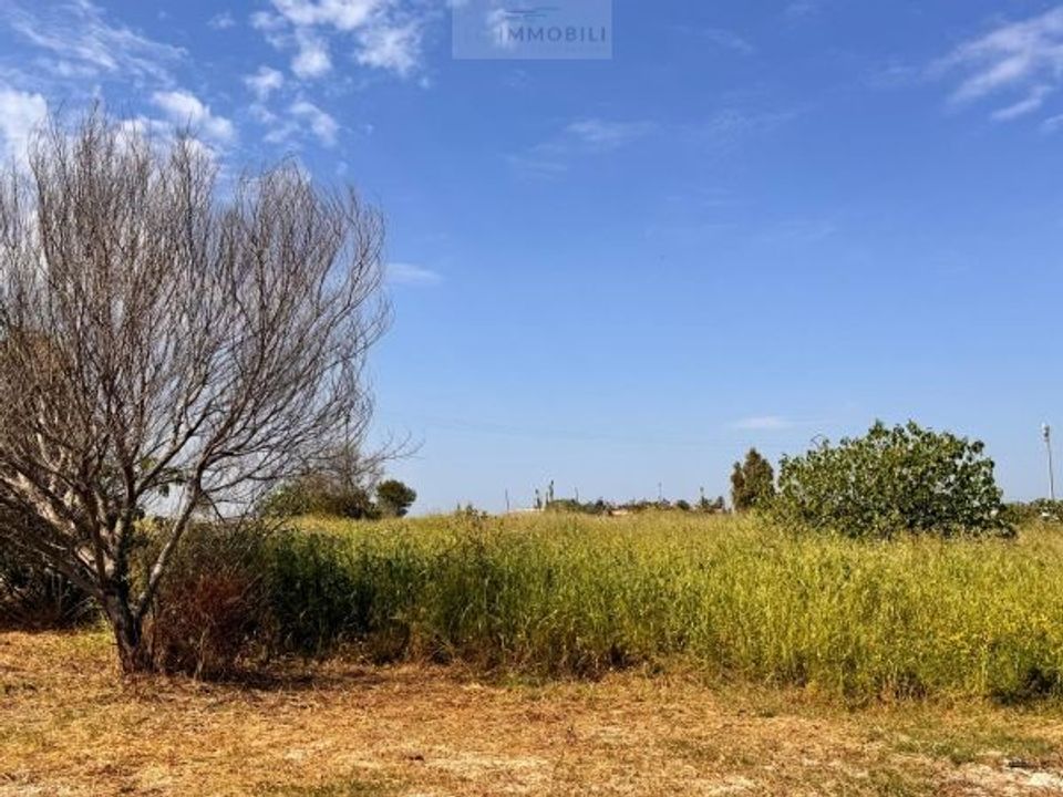 Helårsgrund i Carovigno, Brindisi - foto 4