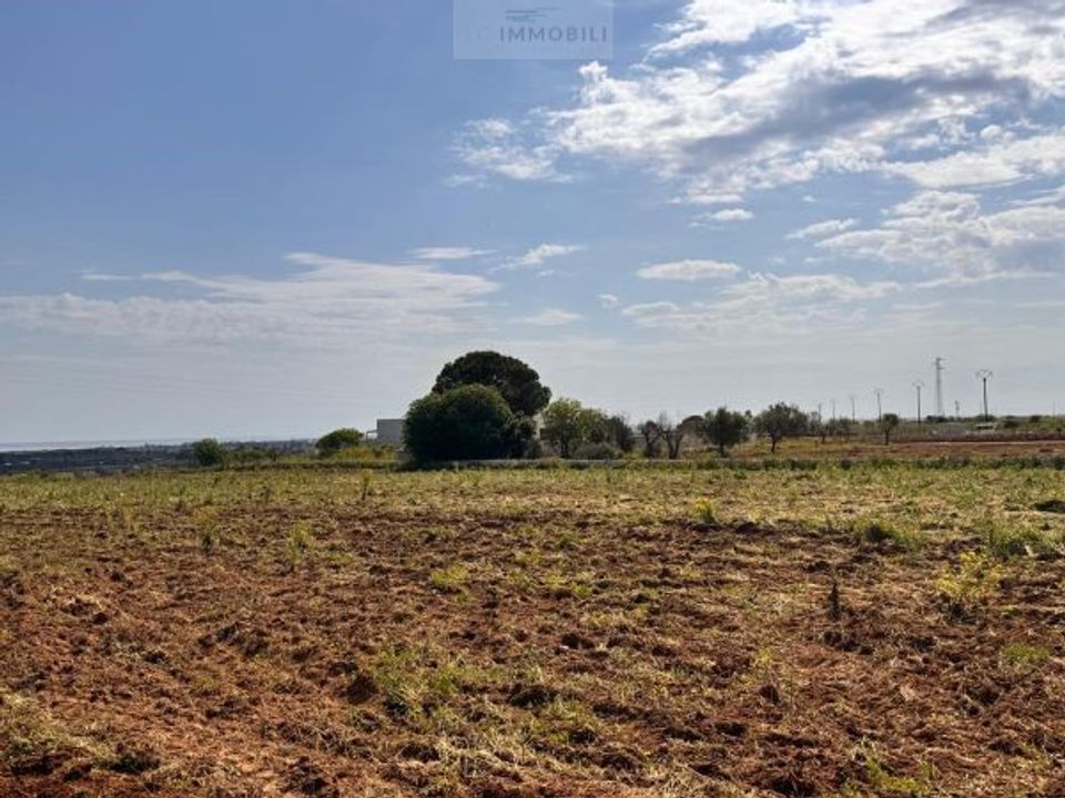 Helårsgrund i Carovigno, Brindisi - foto 3
