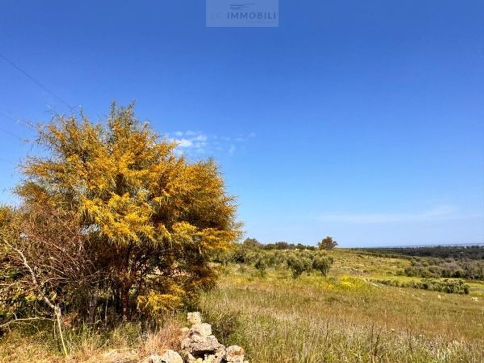 Helårsgrund i Carovigno, Brindisi - foto 5