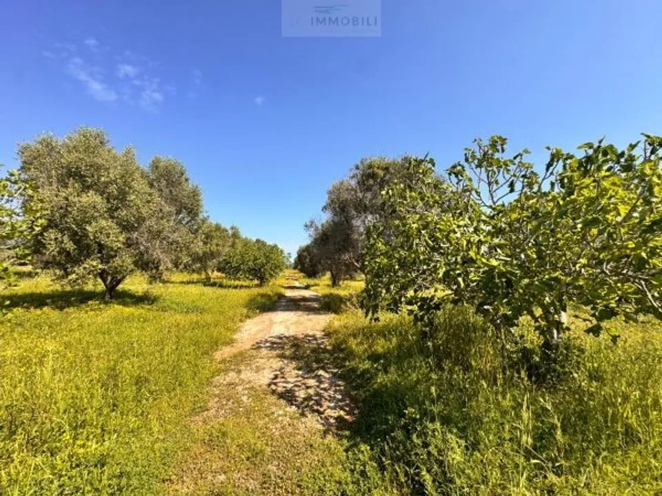 Tomt i Carovigno, Brindisi - bilde 2