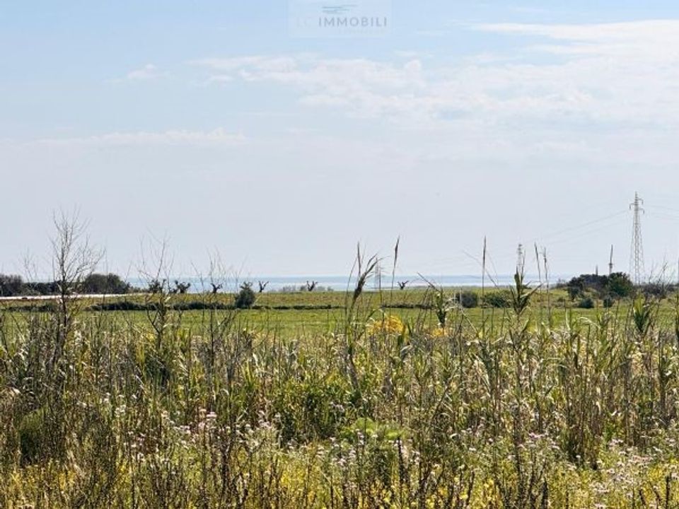 Tomt i Carovigno, Brindisi - bilde 1