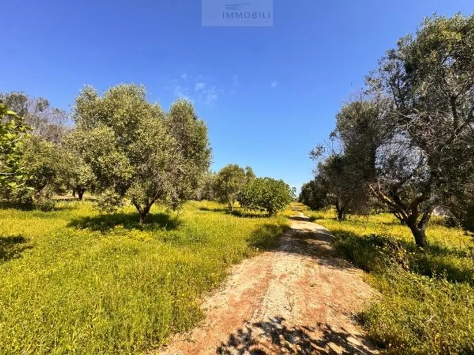 Tomt i Carovigno, Brindisi - bilde 3