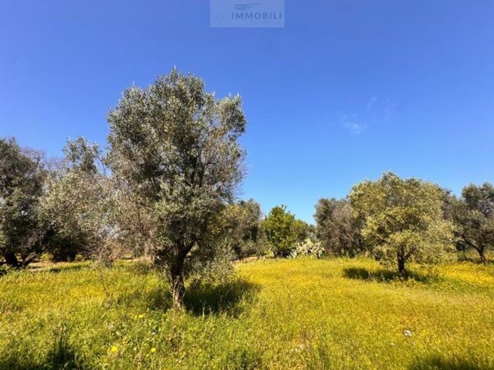 Tomt i Carovigno, Brindisi - bilde 5
