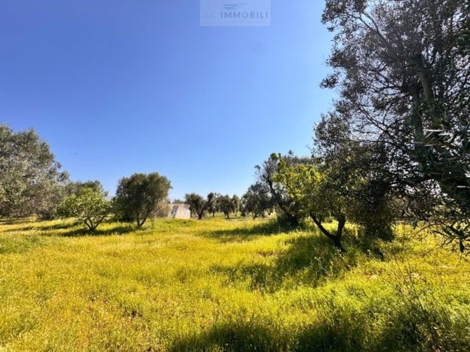 Tomt i Carovigno, Brindisi - bilde 4
