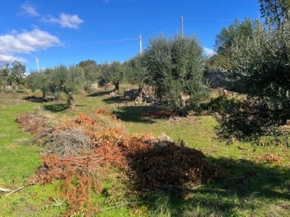 Landejendom i Ostuni, Brindisi - foto 5