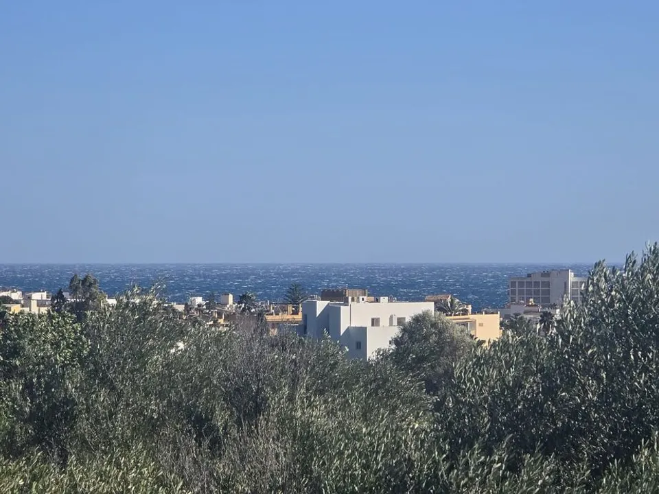 Terrain - Son Servera, Mallorca - photo 2