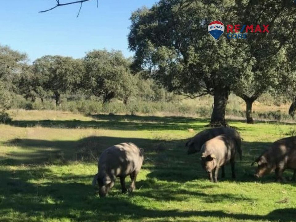 Helårsgrund i Badajoz, Badajoz - foto 1