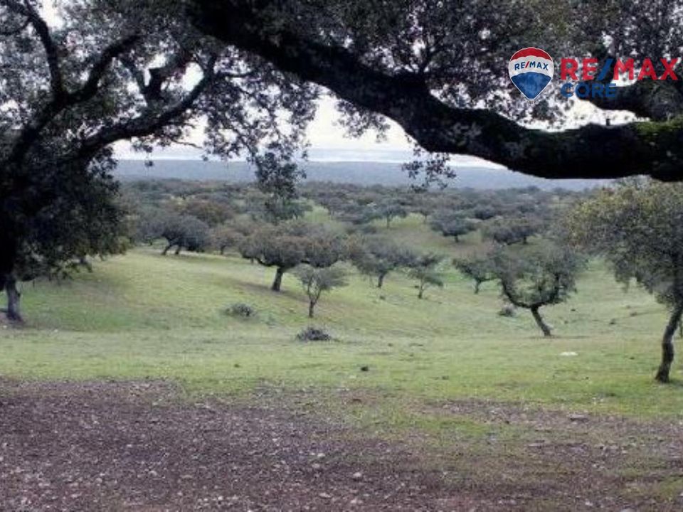 Helårsgrund i Badajoz, Badajoz - foto 2