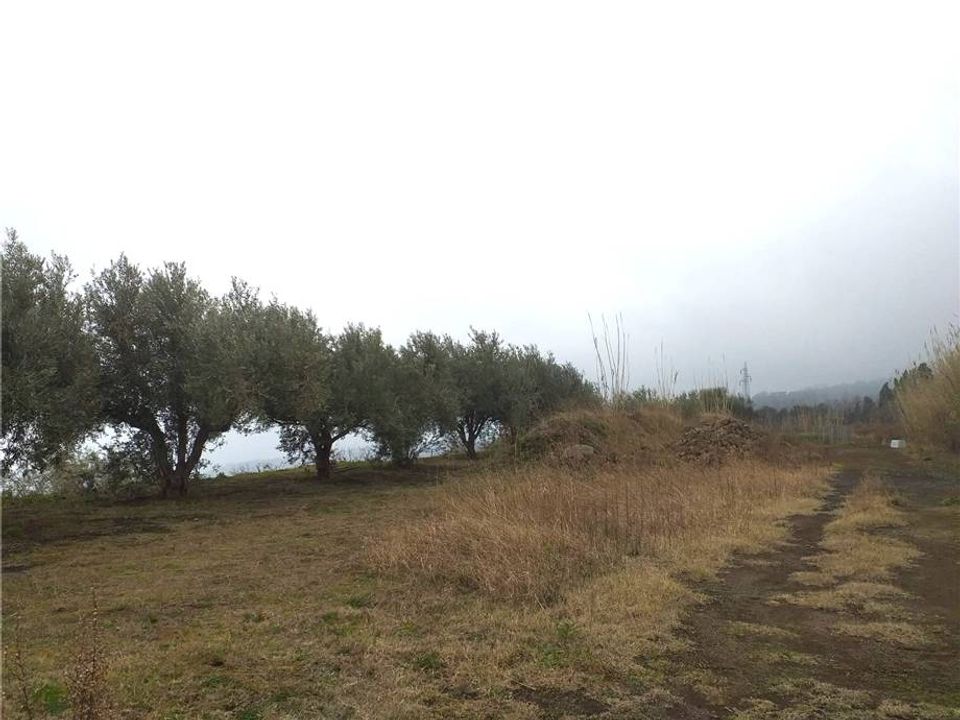 Helårsgrund i Sant'Alfio, Catania - foto 5