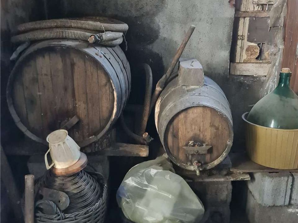 Helårsgrund i Santa Venerina, Catania - foto 4