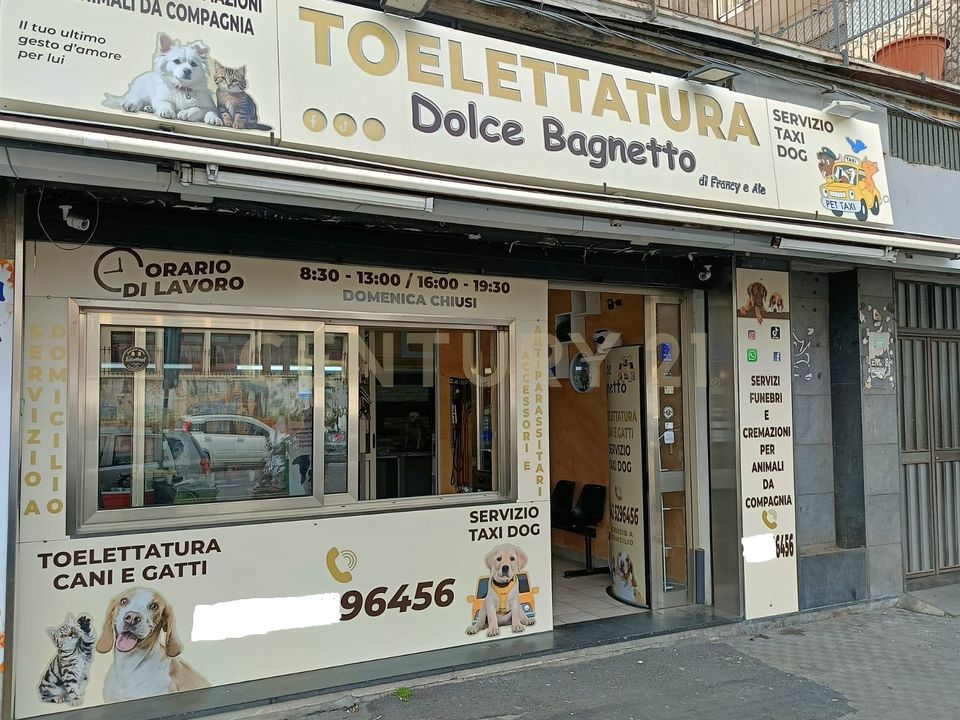 Erhvervsejendom i Catania, Catania - foto 2