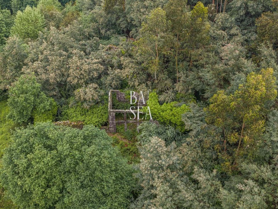 Masia a Fafe, Braga - foto 2