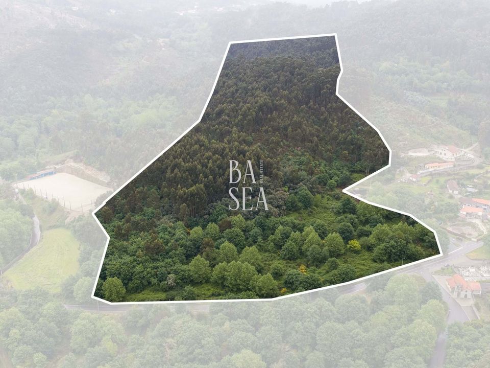 Masia a Fafe, Braga - foto 5