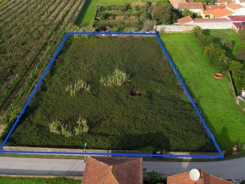 Terra a Anadia, Aveiro - foto 2