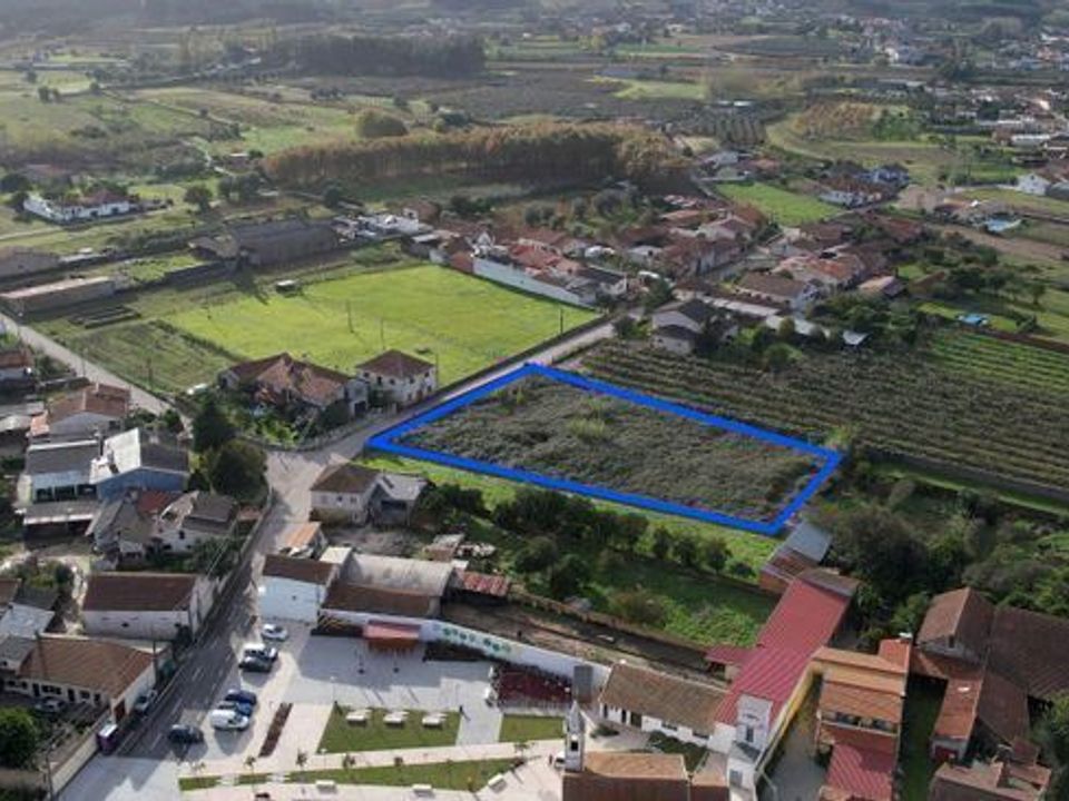 Terra a Anadia, Aveiro - foto 5