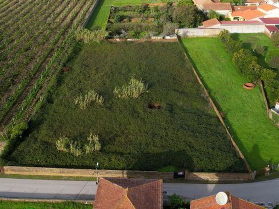Terra a Anadia, Aveiro - foto 3