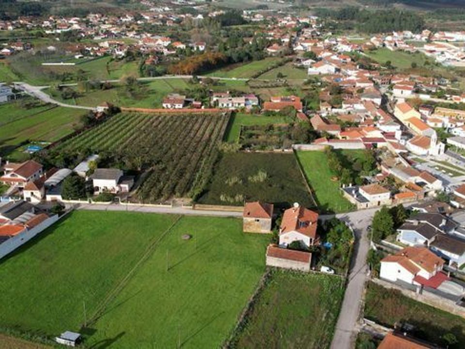 Terra a Anadia, Aveiro - foto 4