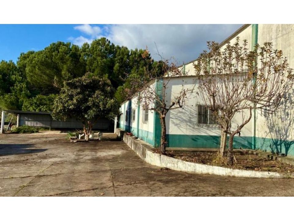Erhvervsejendom i Alcanena, Santarem - foto 4