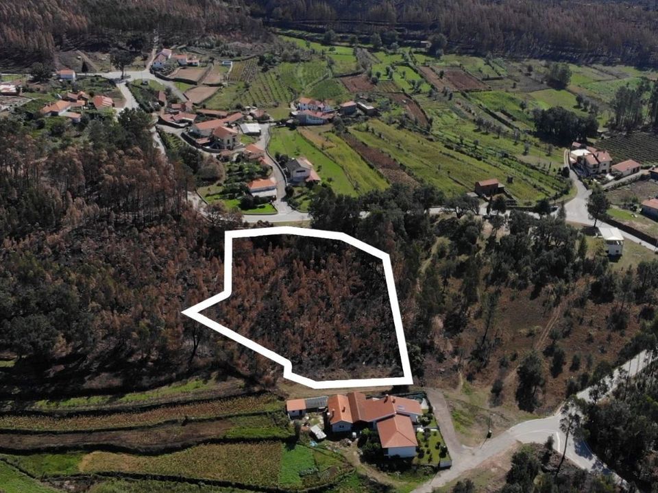 Tomt i Sever do Vouga, Aveiro - bilde 2