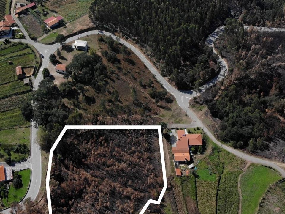 Tomt i Sever do Vouga, Aveiro - bilde 3