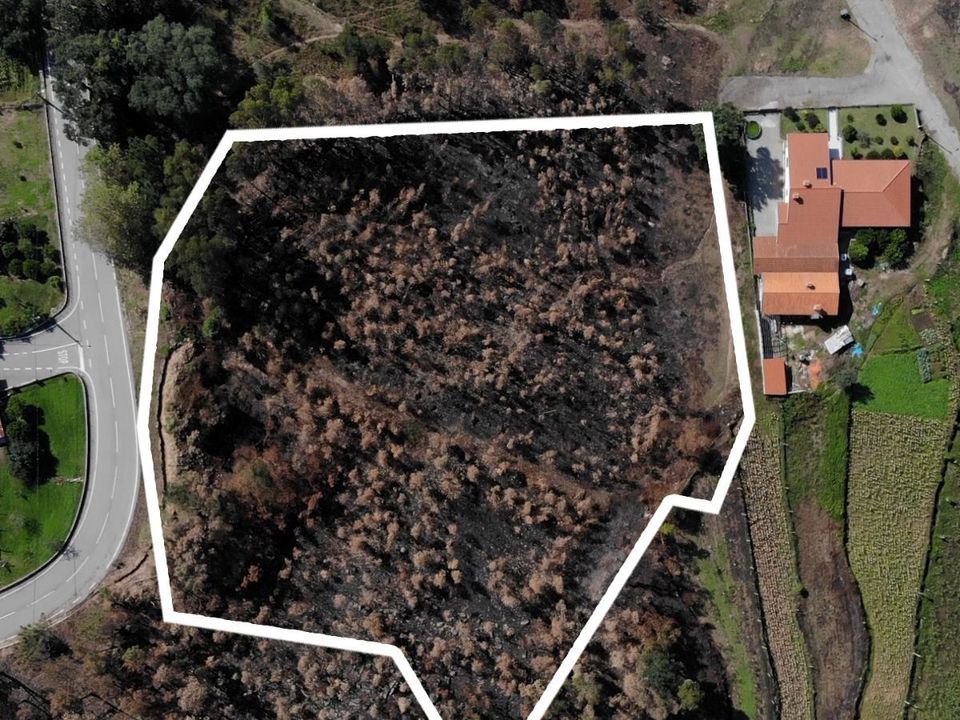Tomt i Sever do Vouga, Aveiro - bilde 1