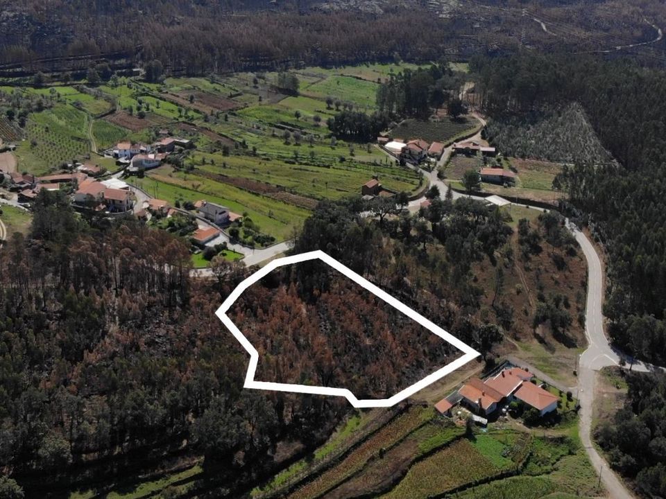 Tomt i Sever do Vouga, Aveiro - bilde 4
