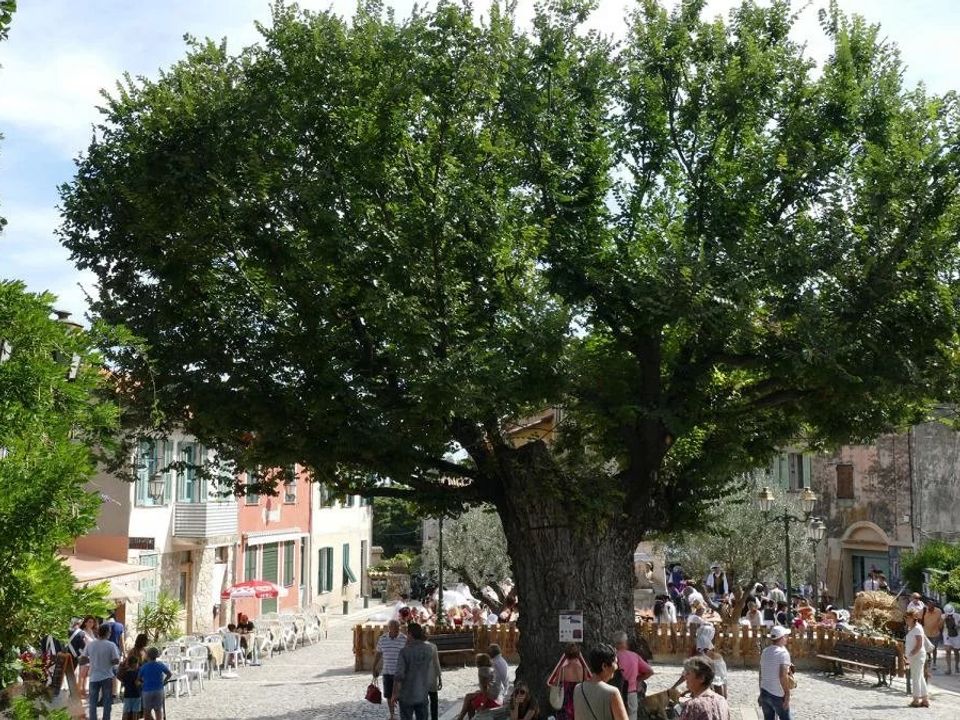 Lejlighed i Gorbio, Alpes-Maritimes - foto 2