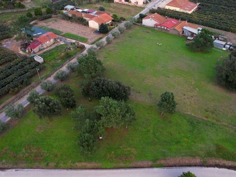 Helårsgrund i Anadia, Aveiro - foto 2