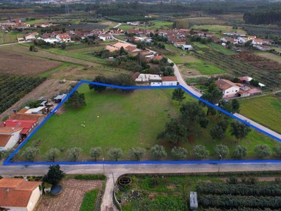 Helårsgrund i Anadia, Aveiro - foto 1